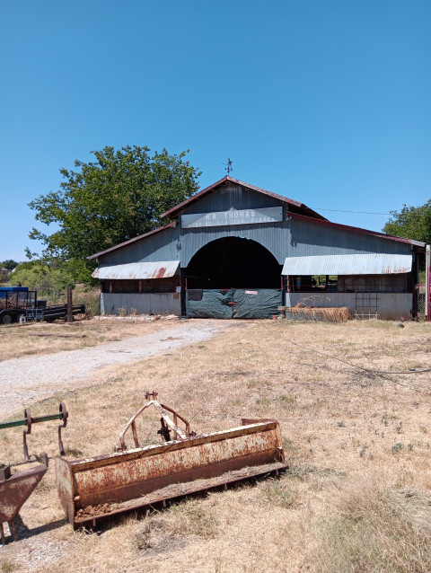 Visit WR thomas Running quarter horses.