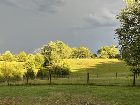 Visit Fox Hollow Farm Horse Boarding in Palmyra, VA