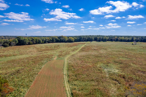 Visit 6+ Acre Tract in Madison
