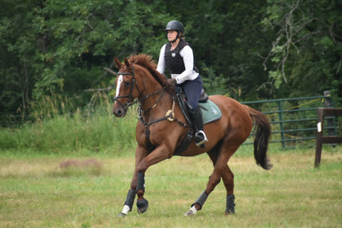 Visit Joanne Emerson Eventing