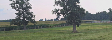 Visit G&G AgSolutions LLC