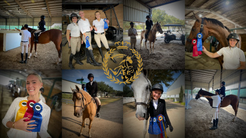 Visit Royal Sport Horses