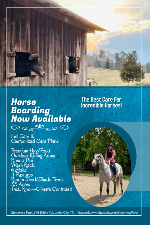 Visit Storywood Farm - Premier Horse Boarding
