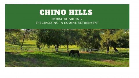 Visit Chino Hills Equine Retirement Horse Boarding