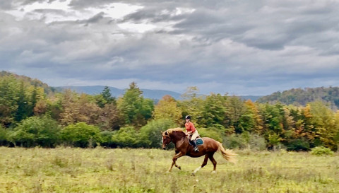 Visit Lani Ohly, Lakeside Farm