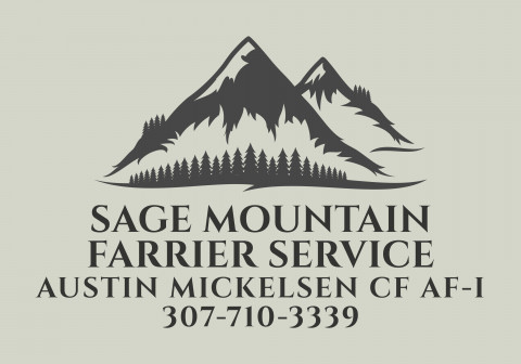 Visit Austin Mickelsen CF AF-I