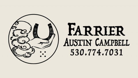 Visit Austin Campbell