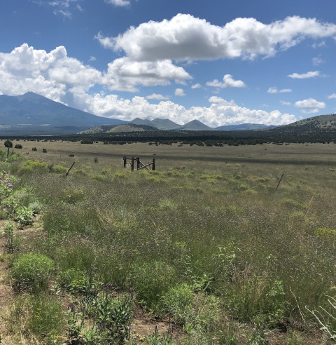 Visit 00 Forest Service 548 Flagstaff AZ 86001 - 10 acre parcel