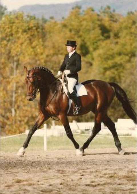 Visit Debbie Bowman Dressage