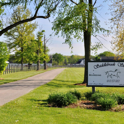 Visit Saddlebrook Stables