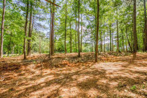 Visit 5+ acre tract in Rutledge, GA