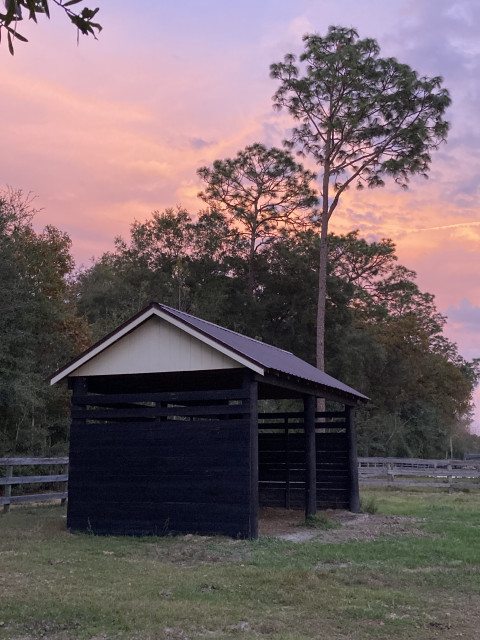 Visit 1 minute to World Equestrian Center