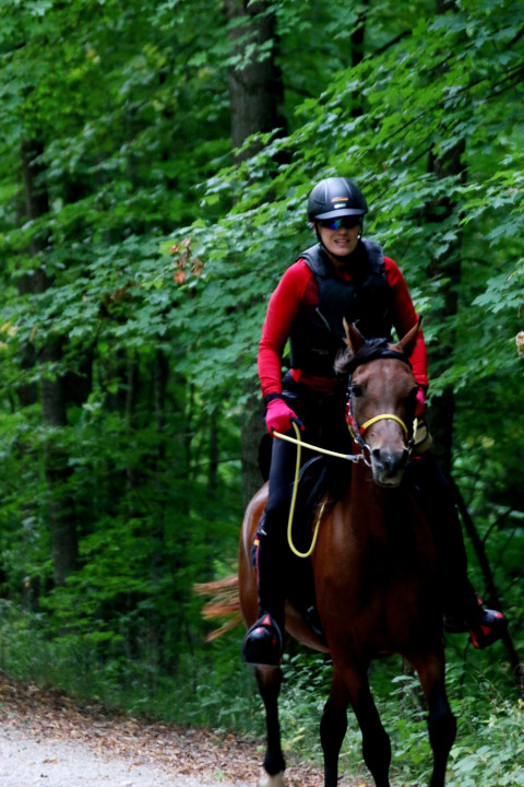 Visit The McNiesh Barns and Stables