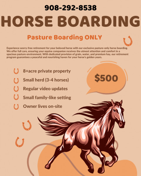 Visit Pasture boarding available