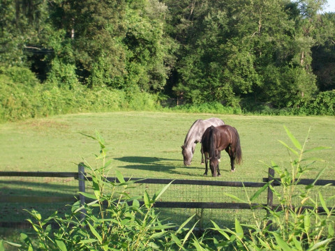 Visit Banks South Farm