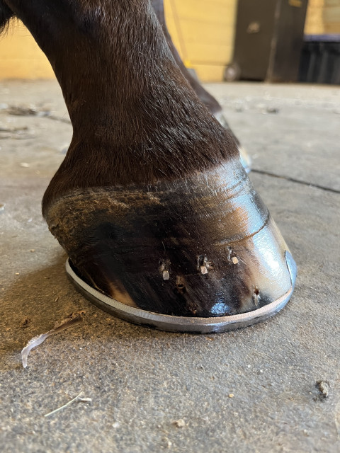 Visit J+S Farrier Services