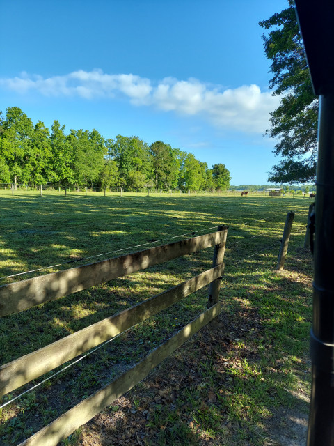 Visit Wimbee Creek Equestrian Center