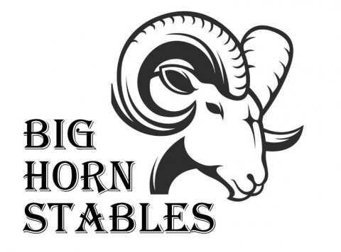 Visit Big Horn Stables Day Camp with Horses