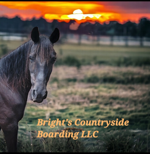 Visit Bright's Countryside Boarding LLC