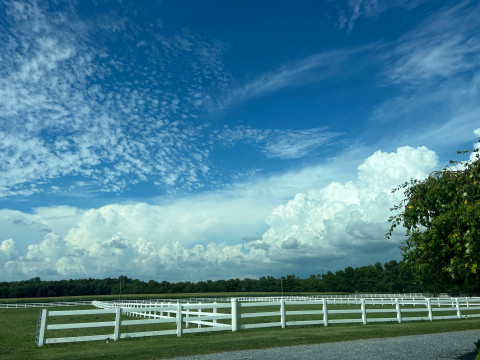 Visit Star Gate Farm