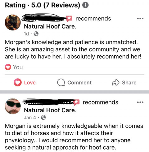 Visit Natural Hoof Care