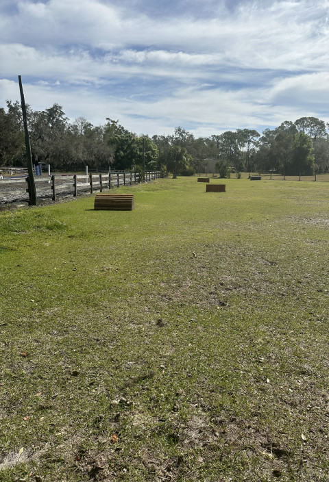 Visit Horse boarding in Myakka Valley Ranches