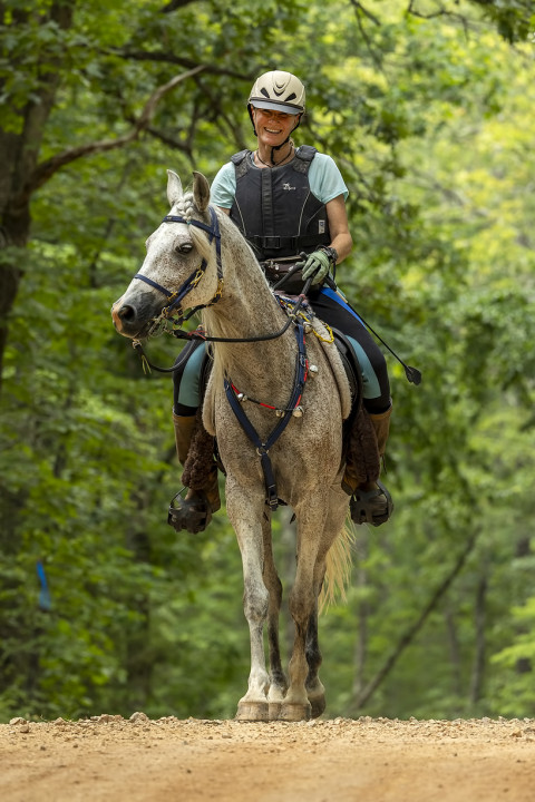 Visit Arabian Gelding for Riding + Endurance