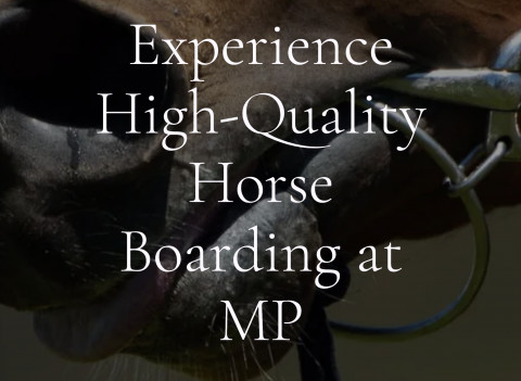 Visit MP Horse Boarding