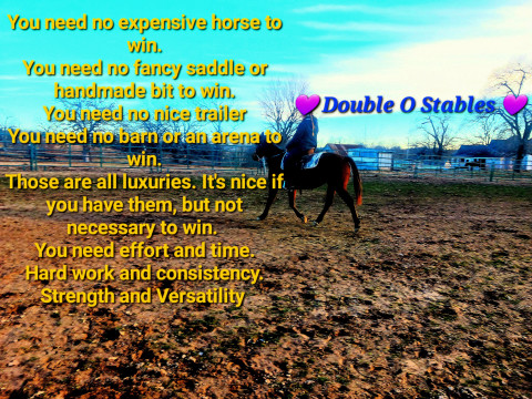 Visit Double O Stables Boarding,  Training & Lessons