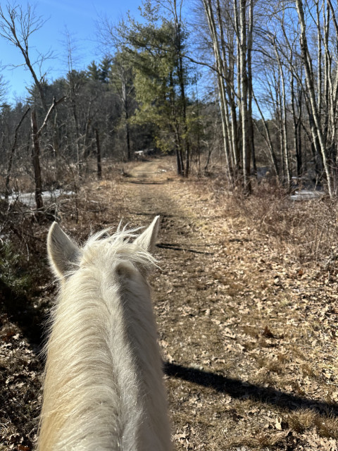 Visit Andover Equestrian, LLC