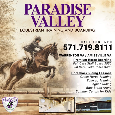 Visit Paradise Valley Equestrian Riding, Training & Boarding