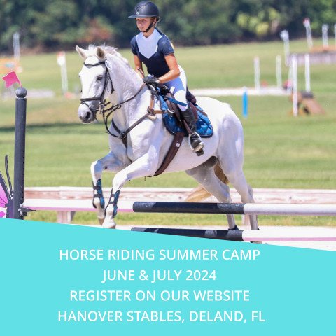 Visit Hanover Stables Summer Horse Riding & Equestrian Art Camps