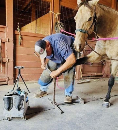 Visit Brody Farrier  Services