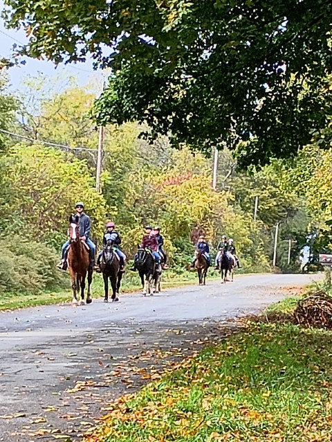 Visit Evergreen Stables