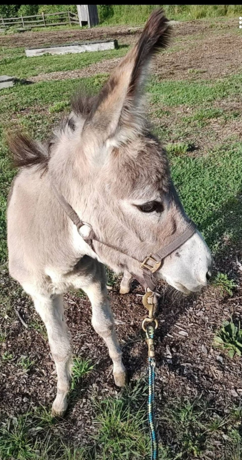 Visit Win-Seek Fallen Pines Equestrian Center