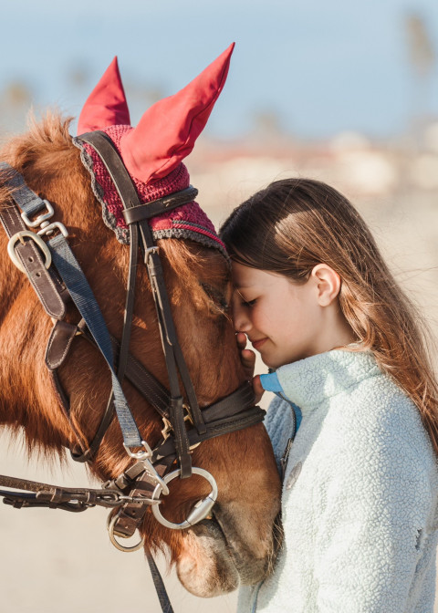 Visit Summer Pony/Horse Camp Sessions