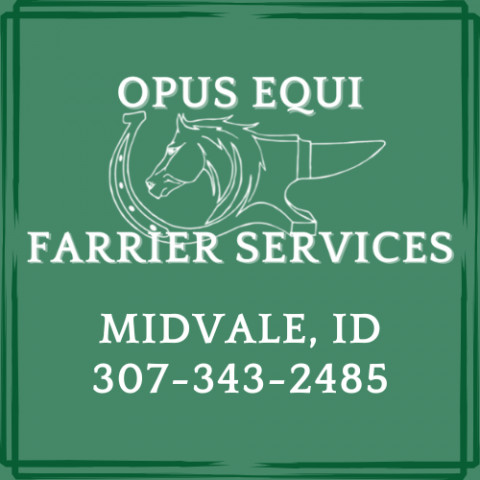 Visit Opus Equi Farrier Services, LLC