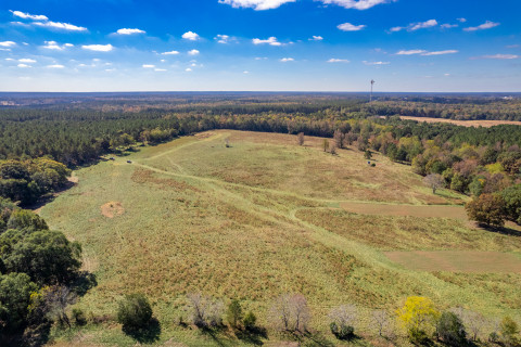 Visit 10+ acres in Madison, GA