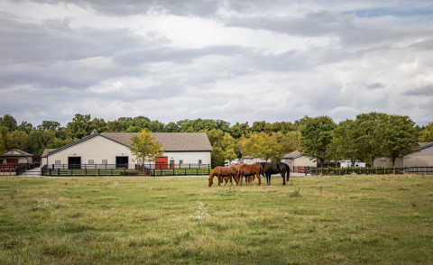 Visit Blackstone Ranch