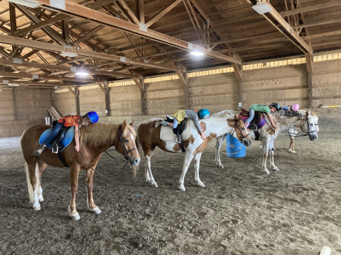 Visit Horse Summer Camps