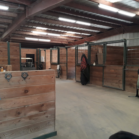 Visit Peggy Kelly Dressage Trainer in Grass Valley, CA.