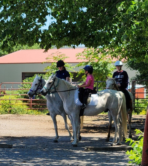 Visit Echo Valley Arabians