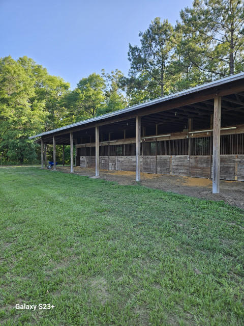 Visit Freedom 35 Farm, LLC. Horse Boarding