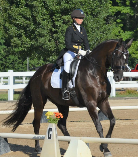 Visit Susan Remondini Dressage