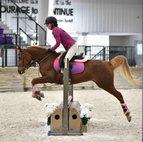 Visit Rose Gold Equestrian