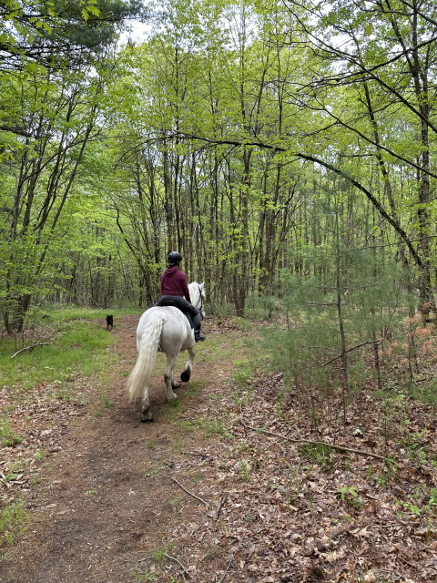 Visit Andover Equestrian, LLC