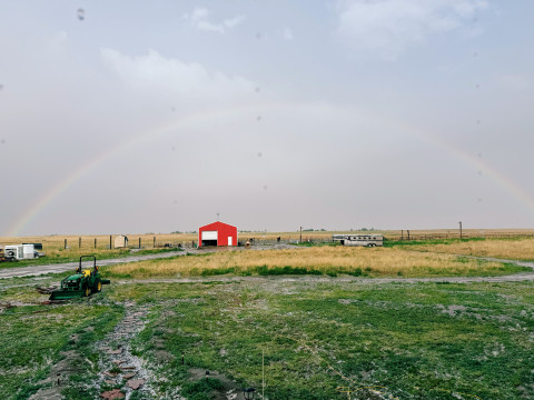 Visit Rogue Wolf Ranch