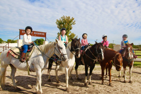 Visit Benbrook Stables Equestrian Camp