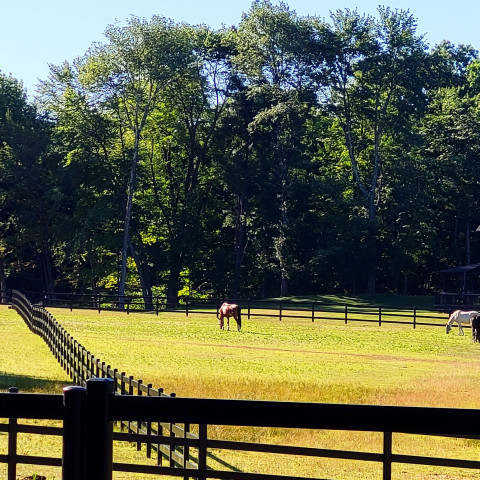 Visit HH Ranch
