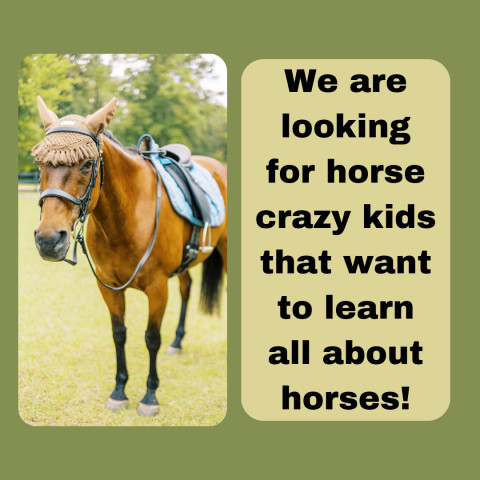 Visit Joyful Noise Riding Academy LLC
